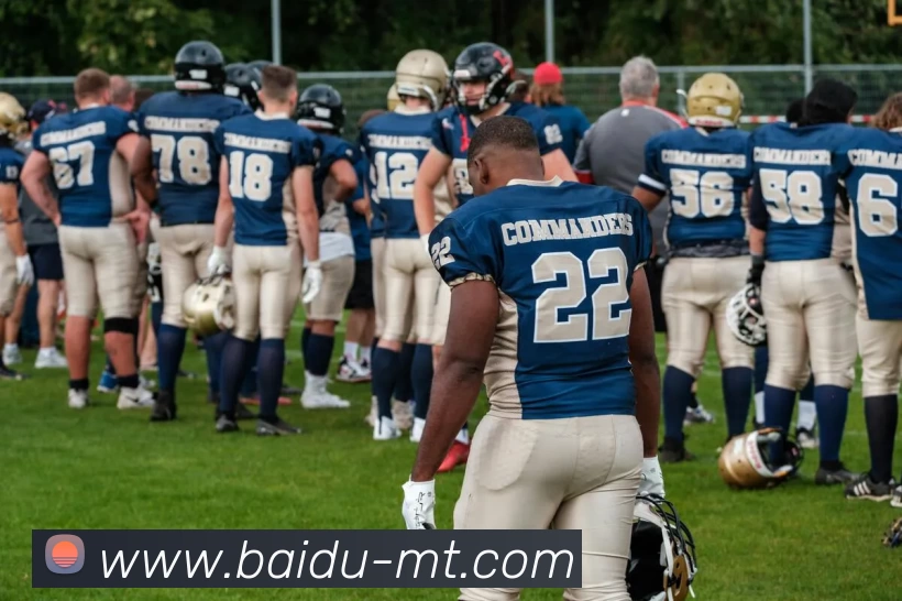 App Interface Preview