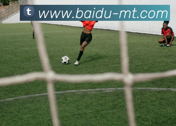 MT真人APP 封面图